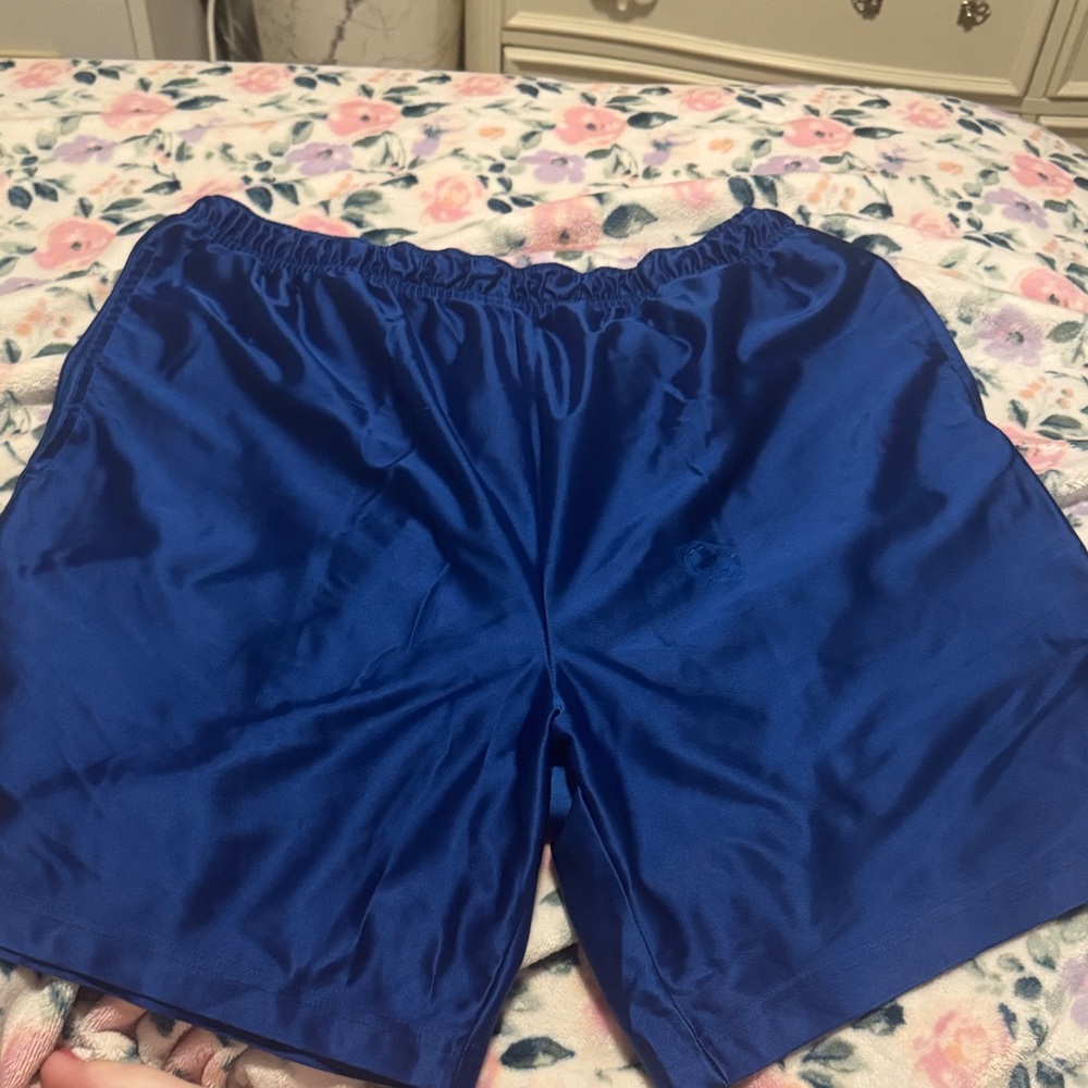 Blue Satin Shorts
